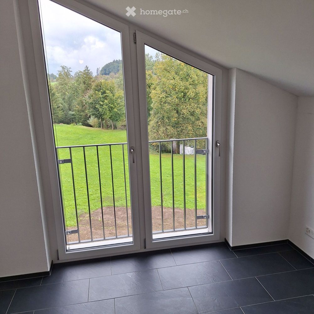 NEUBAU- Helle, grosszügige 4.5 Zimmer Dachwohnung - Bild 5