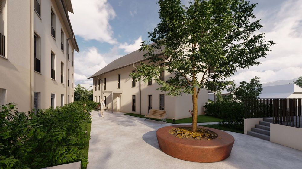 Moderne 5.5-Zimmer-Wohnung mit Galeriegeschoss in Herzogenbuchsee - Bild 4