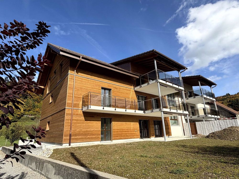 Neubau! Drei 4.5 Zi-Wohnungen im Eigentumsformat - Bild 1