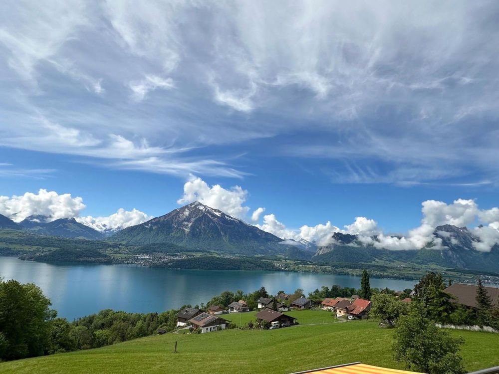Traumhafte 3-Zimmer-Wohnung mit atemberaubendem Bergblick in Aeschlen ob Gunten - Bild 1
