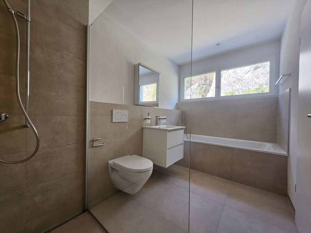 3.5 Zi Attika Wohnung mit unverbaubarer Aussicht - Bild 11