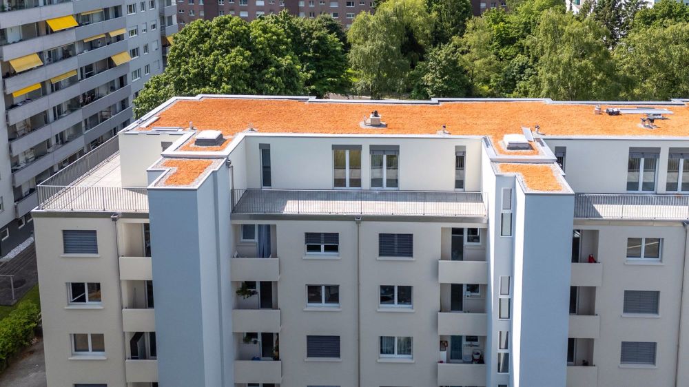 ERSTVERMIETUNG NACH NEUBAU: 1.5-Zimmer-Attikawohnungen mit grossen Terrassen - Bild 5