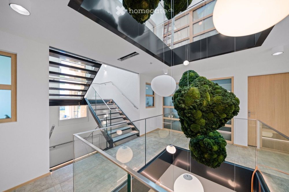 Erstvermietung: Im Einklang mit den Elementen - Wohnen mit Weitsicht - letzte Wohnung verfügbar - Bild 4