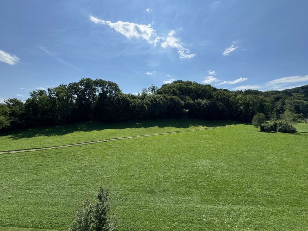 moderne Wohnung mit Blick ins Grüne - Ausblick