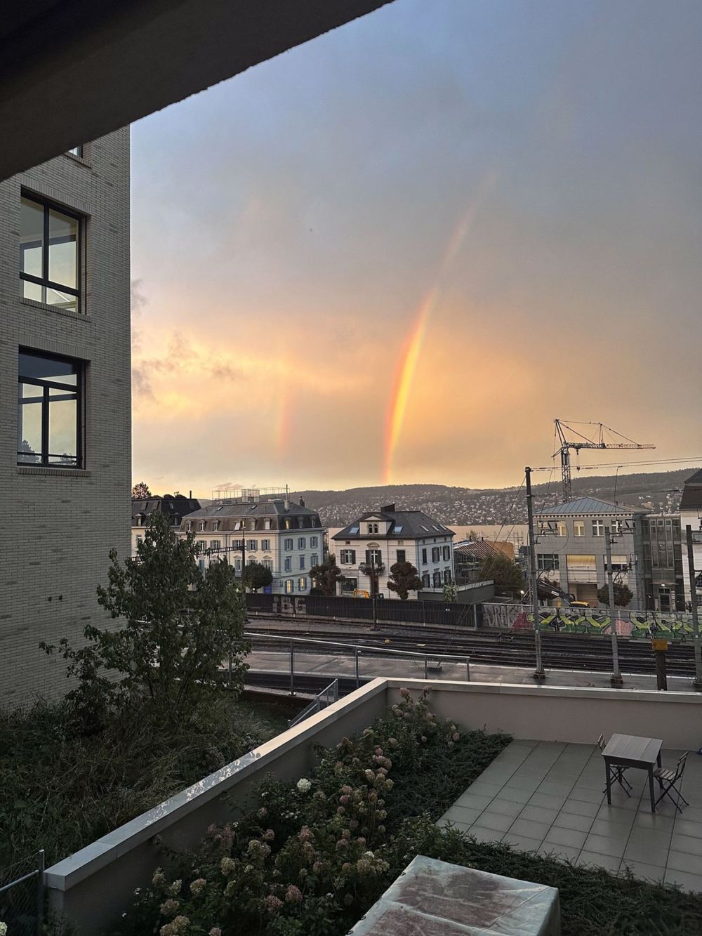 2 ½ Zimmer-Wohnung in Thalwil mieten - Bild 3