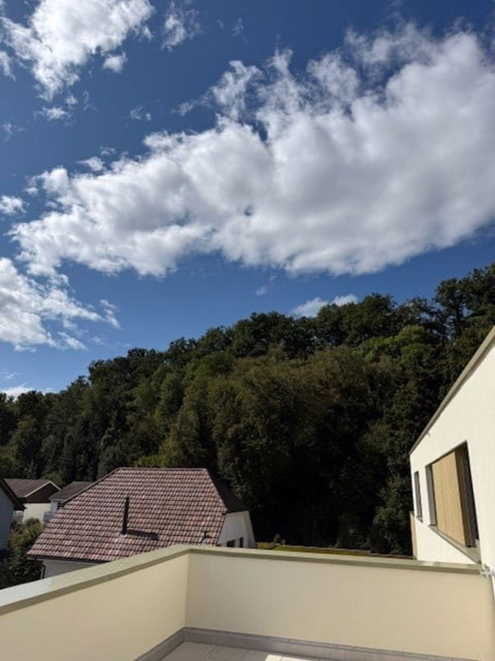 Neu erstellte, lichtdurchflutete 3,5 Zimmer Wohnung mit 2 grossen Terrassen - Bild 10