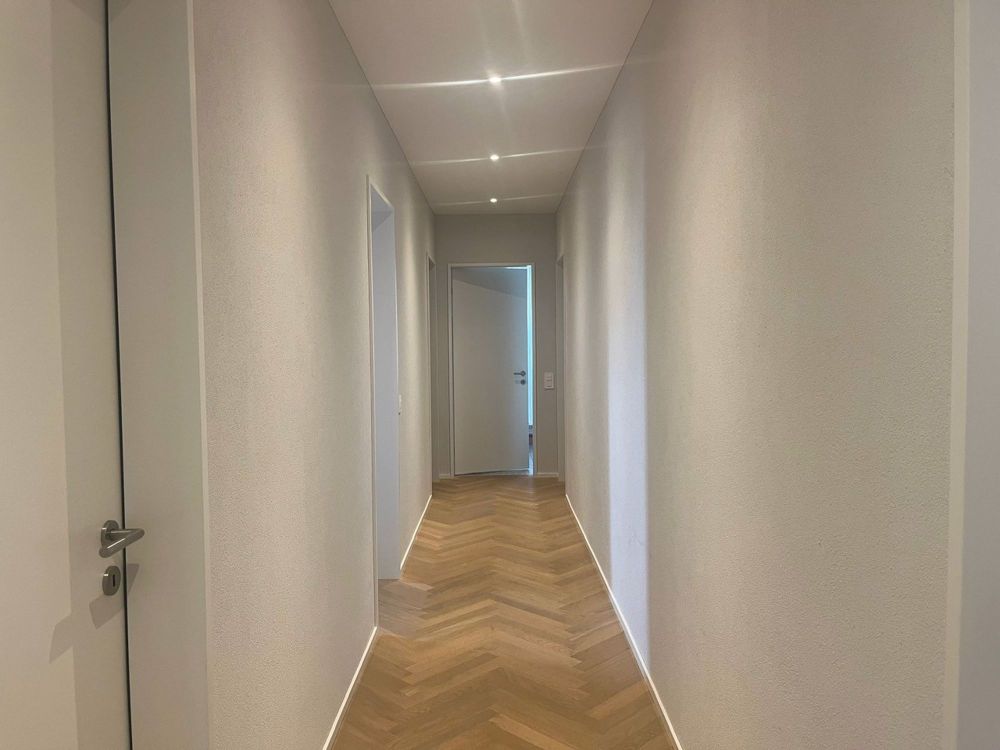 Nachmieter gesucht Modernes 4.5-Zimmer Neubau-Wohnung mit Blick auf die Festung Aarburg - Gang