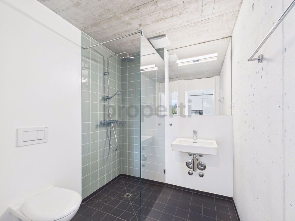 Luxuriöse Attikawohnung mit 3.5 Zimmern in Therwil, Kanton BL - Image 8