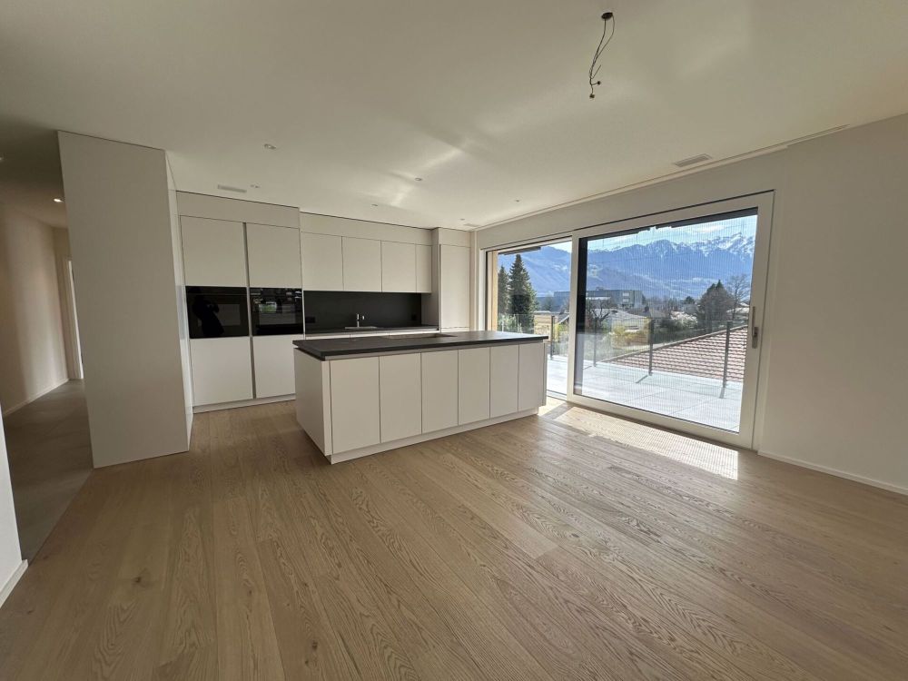 attraktive 4.5 Zimmer-Attikawohnung mit herrlichem Ausblick - Bild 2
