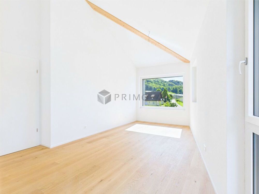 Ihr Neubau-Traum in Mammern: Grosszügig, modern, einzigartig! - Bild 6