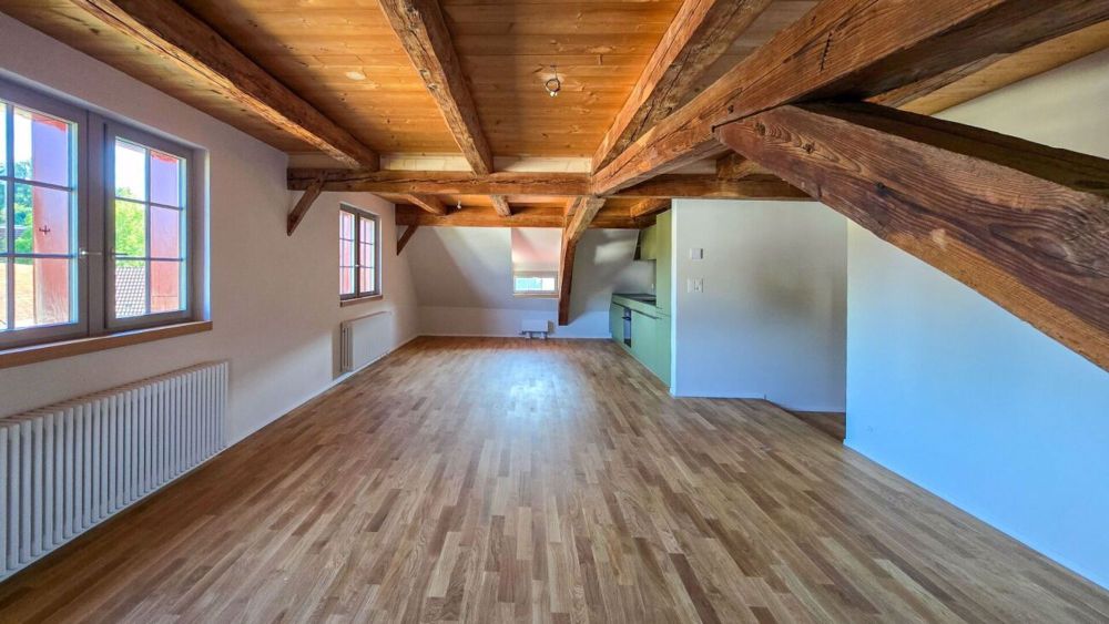 Moderne 2.5 Zimmer-Dachwohnung - Geräumiger Wohnbereich mit offener Küche