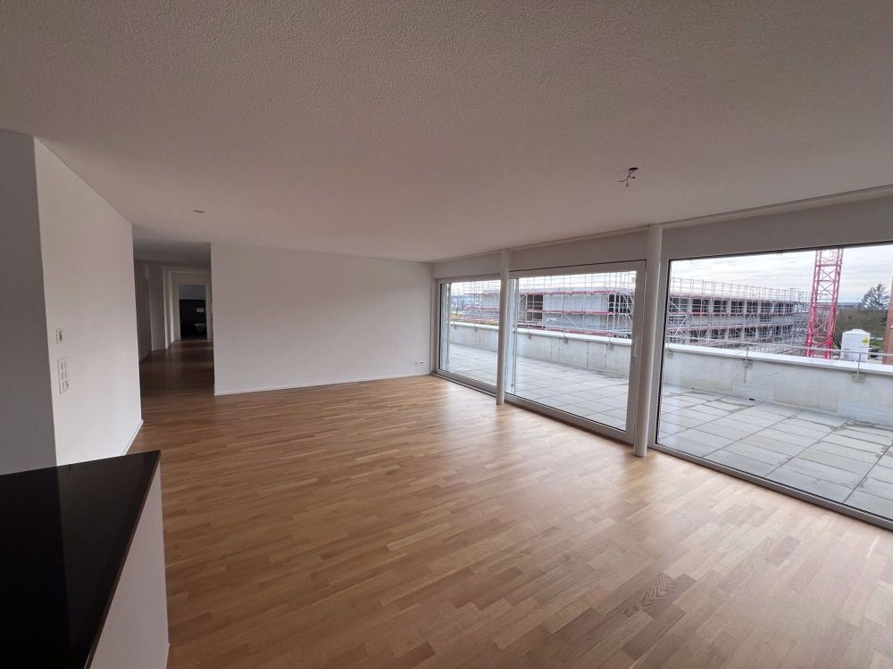 Traumwohnung mit riesiger Dachterrasse mit Abendsonne - Wohnzimmer