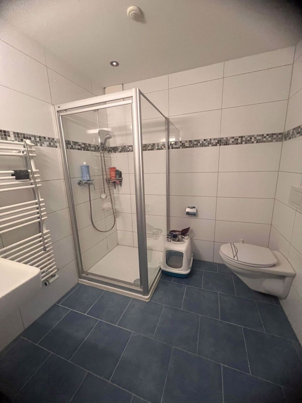 Super schöne Wohnung in Safenwil - Bild 7