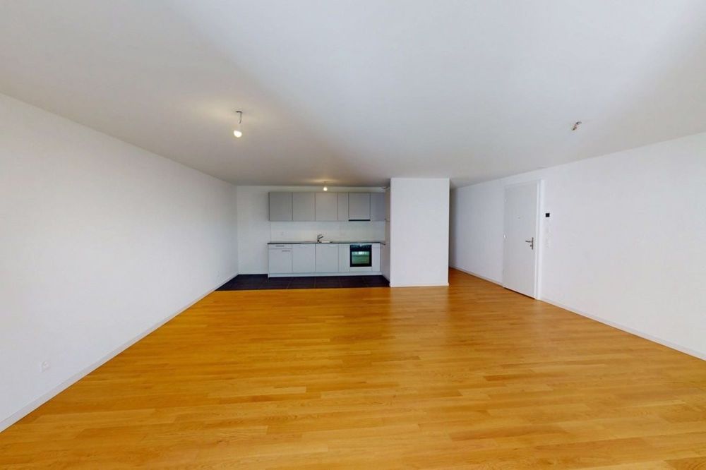 Willkommen! Prachtvolle Wohnung in Bussigny! - backbone_574559-D_001_WEB.jpg