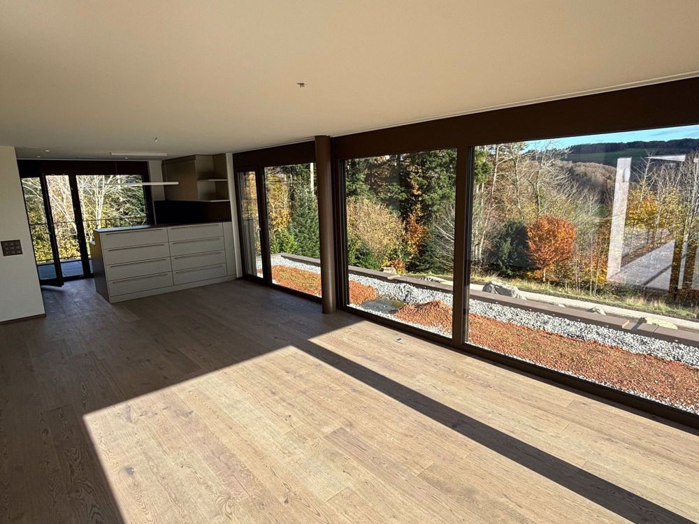 Neubau 3.5 Zimmer-Attika-Wohnung mit zwei Terrassen und Blick in die Natur - Bild 10