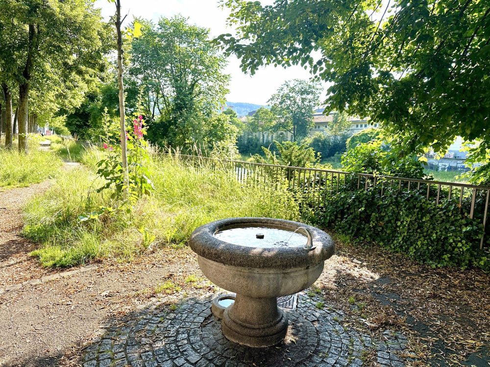 Letzte Wohnungen - Erstvermietung nach Totalsanierung - Naherholungsgebiet Sihl