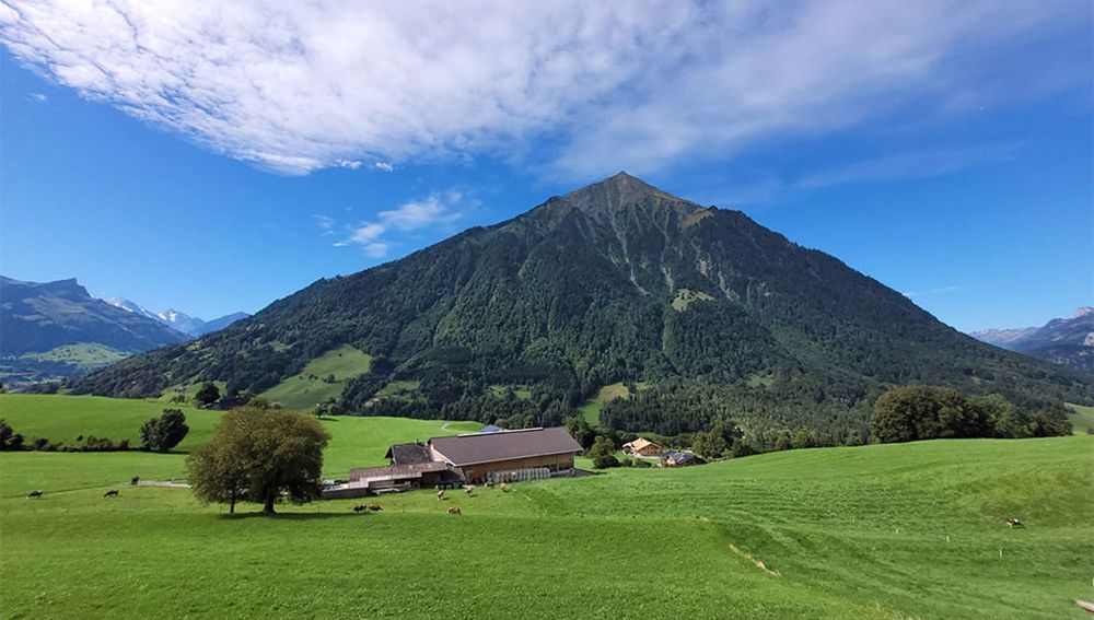 ERSTVERMIETUNG / Erdgeschosswohnung mit grosser Terrasse in sonniger und ruhiger Wohnlage - Bild 3