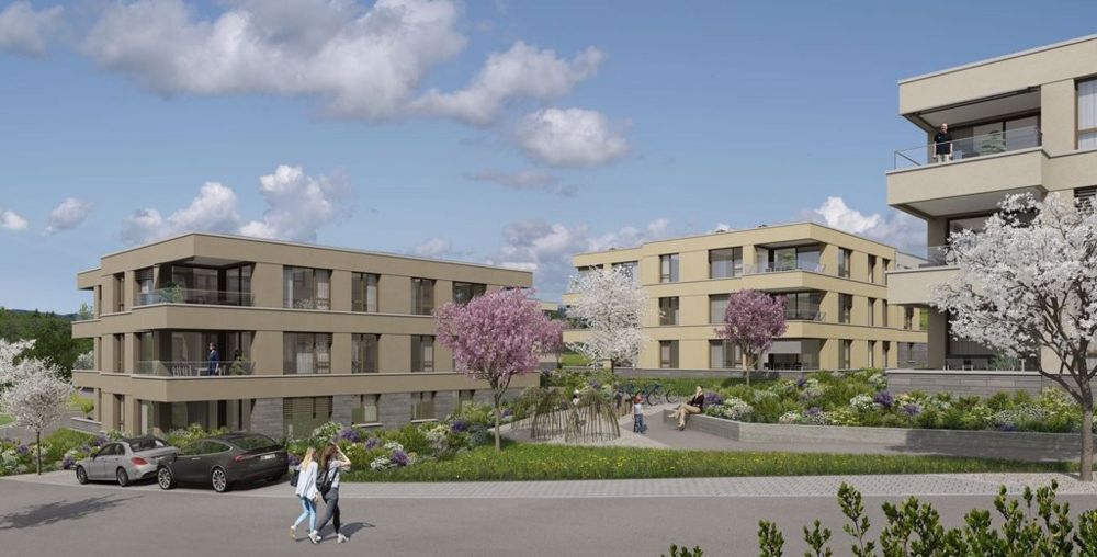 4 ½ Zimmer-Wohnung in Birmensdorf mieten - Bild 4