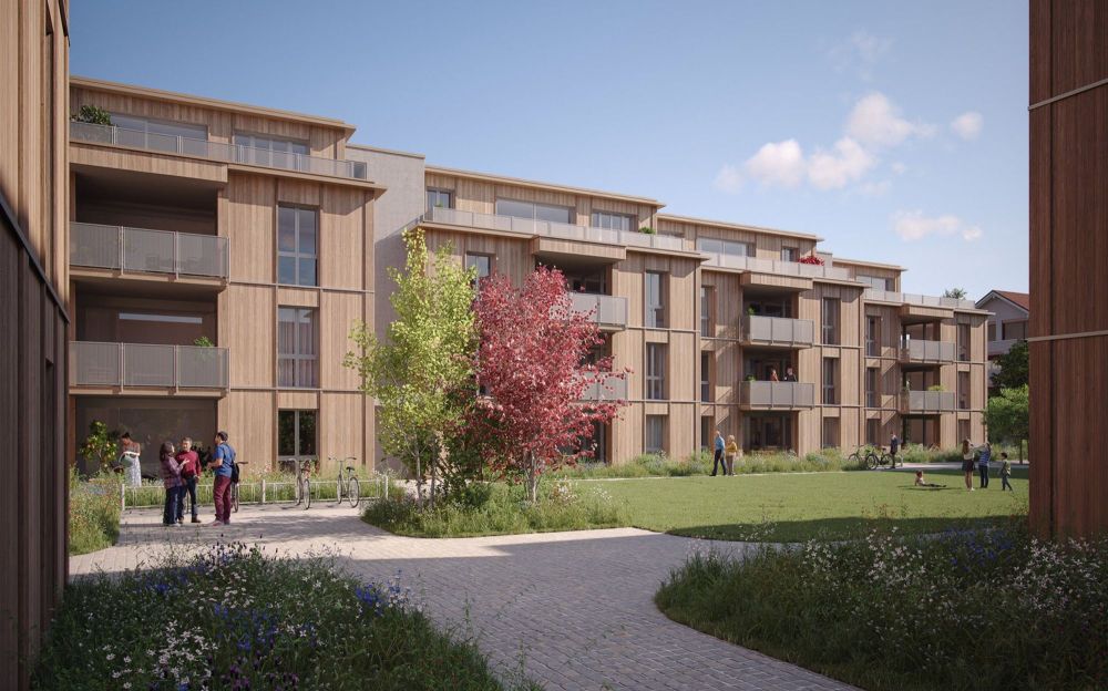 Neubau Attikawohnungen underi Au - Bild 2