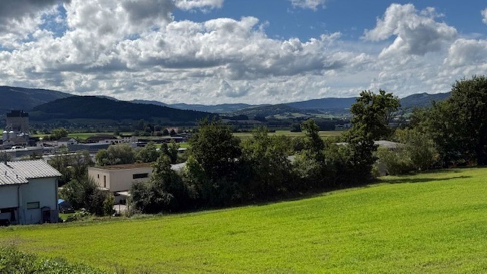 Appartement im Erdgeschoss mit superber Aussicht auf das Tal - Bild 8