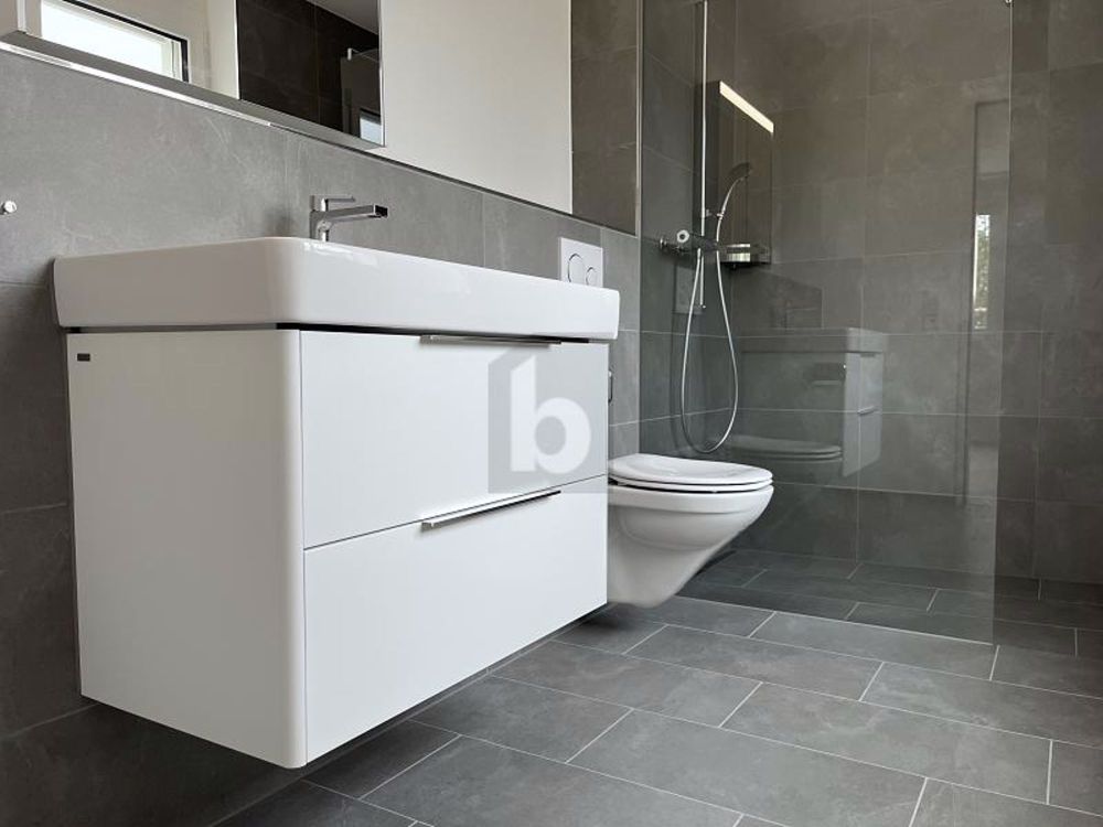 Apartment for rent in Menziken, Switzerland - Bild 3