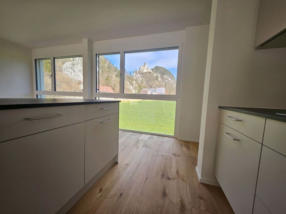 3.5 Zi Attika Wohnung mit unverbaubarer Aussicht - Bild 8
