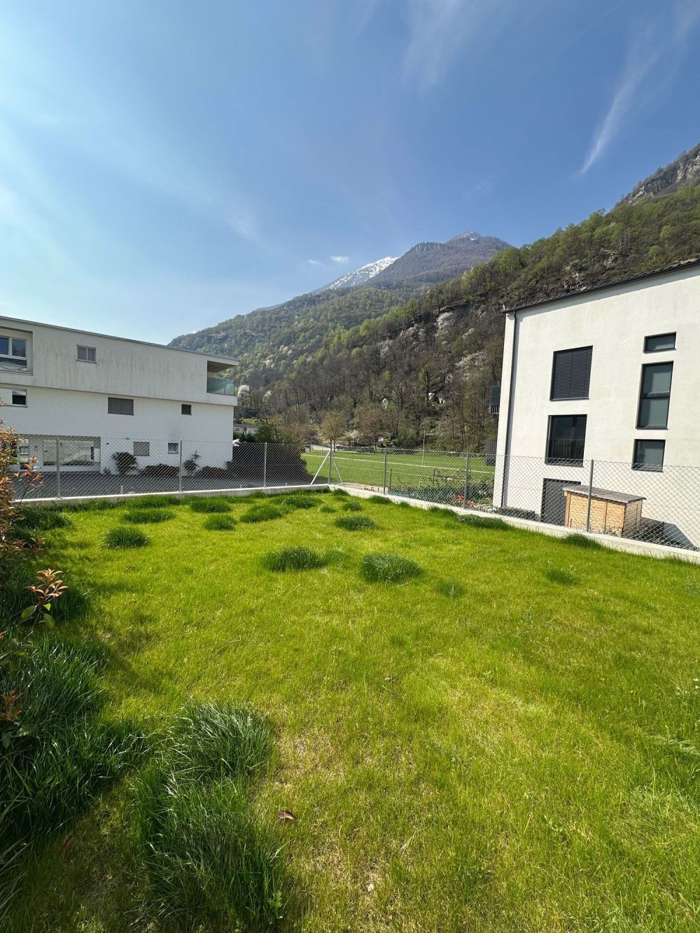 Appartamento 2.5 Camere con ampio giardino - Bild 1