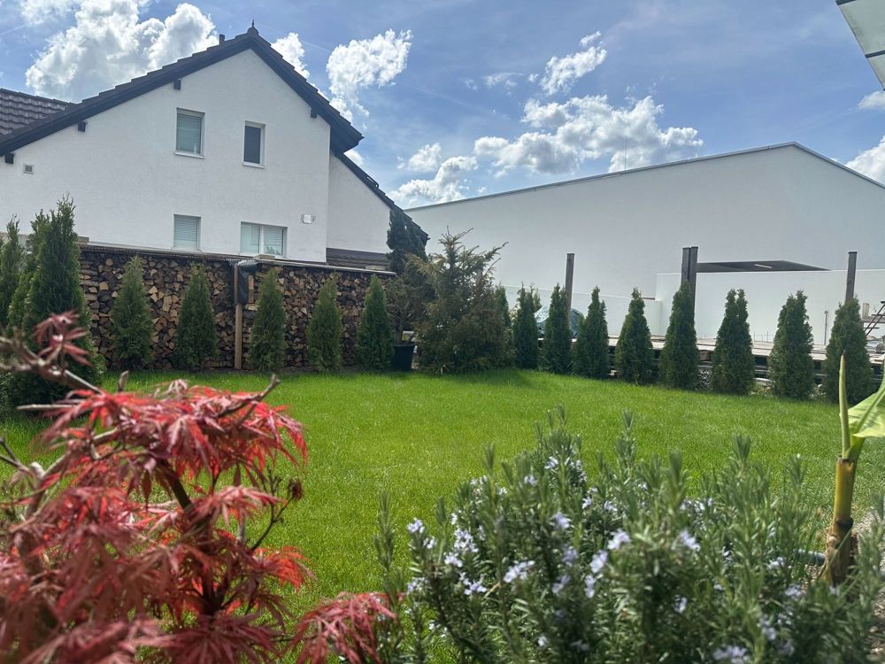 Apartment for rent in Neftenbach, Switzerland - Bild 10
