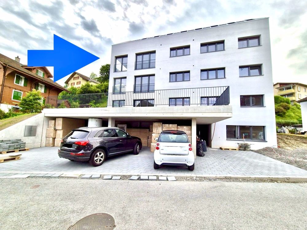 Neubau mit Pilatusblick - Frontansicht
