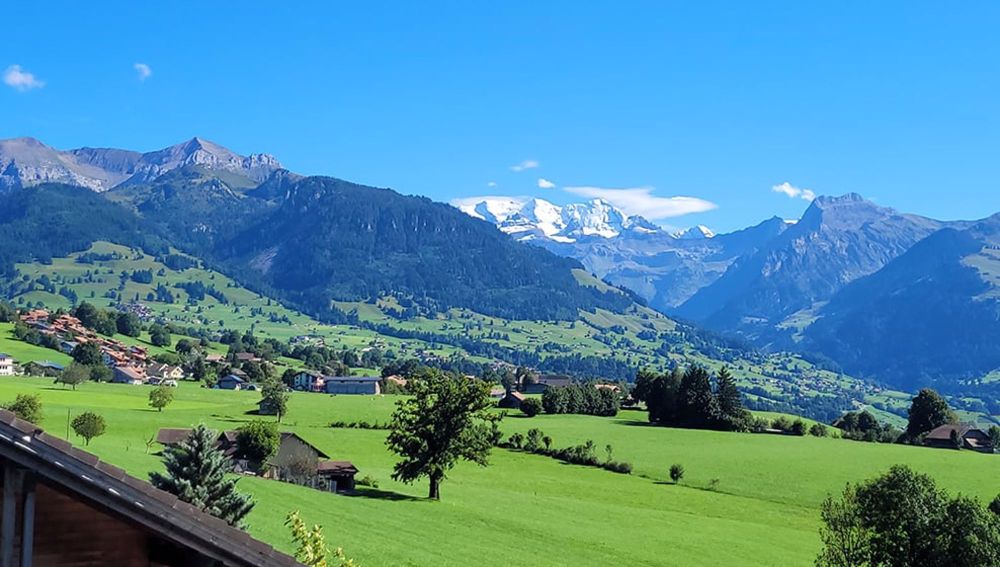 ERSTVERMIETUNG / Erdgeschosswohnung mit grosser Terrasse in sonniger und ruhiger Wohnlage - Bild 10