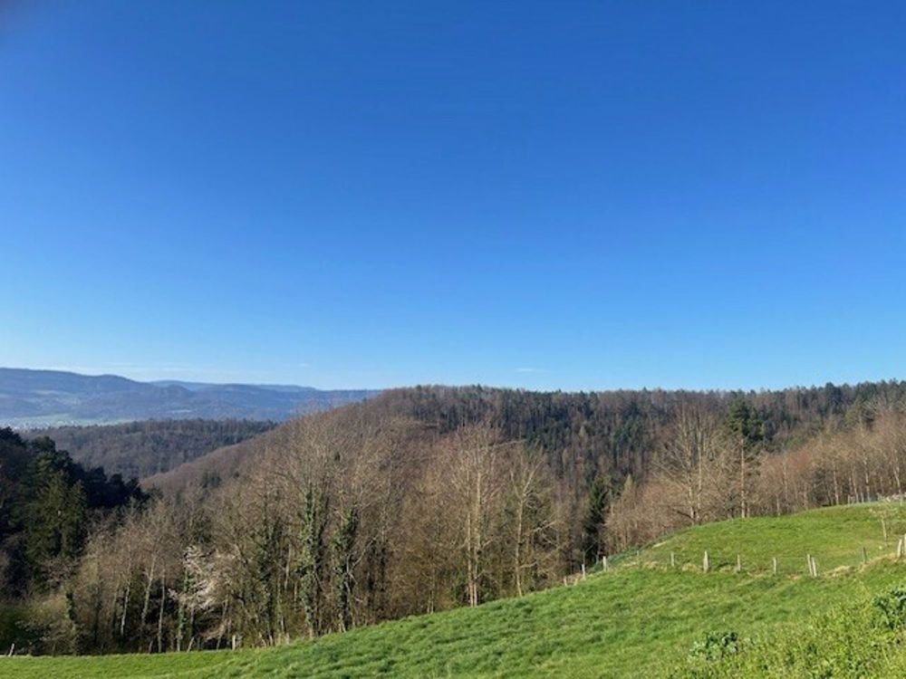 Erstvermietung- 2.5-Zi-Whg. mit Gartensitzplatz und top Weitsicht - Bild 4