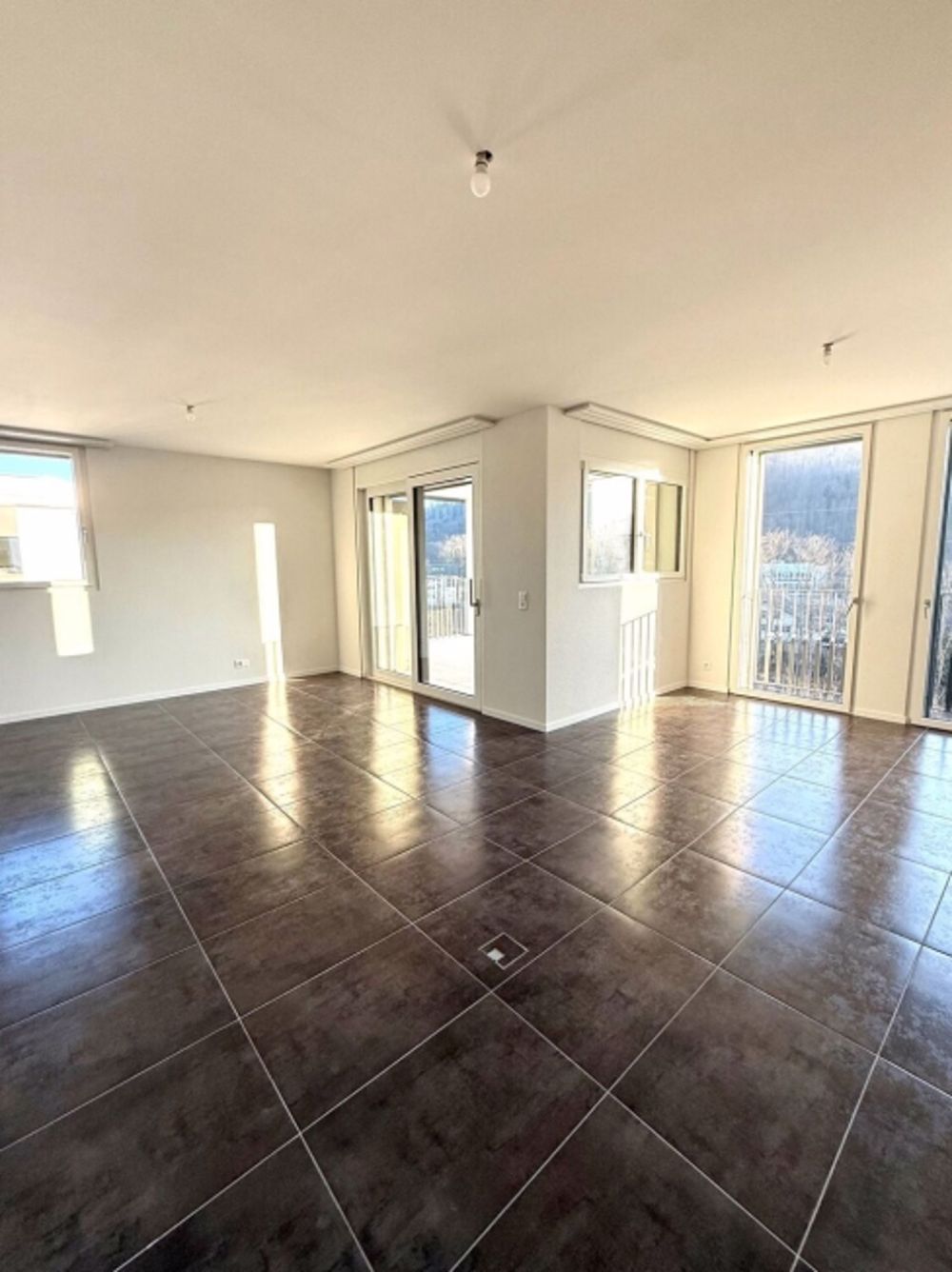 Neue 4.5 Zimmer-Penthouse-Wohnung - Bild 5