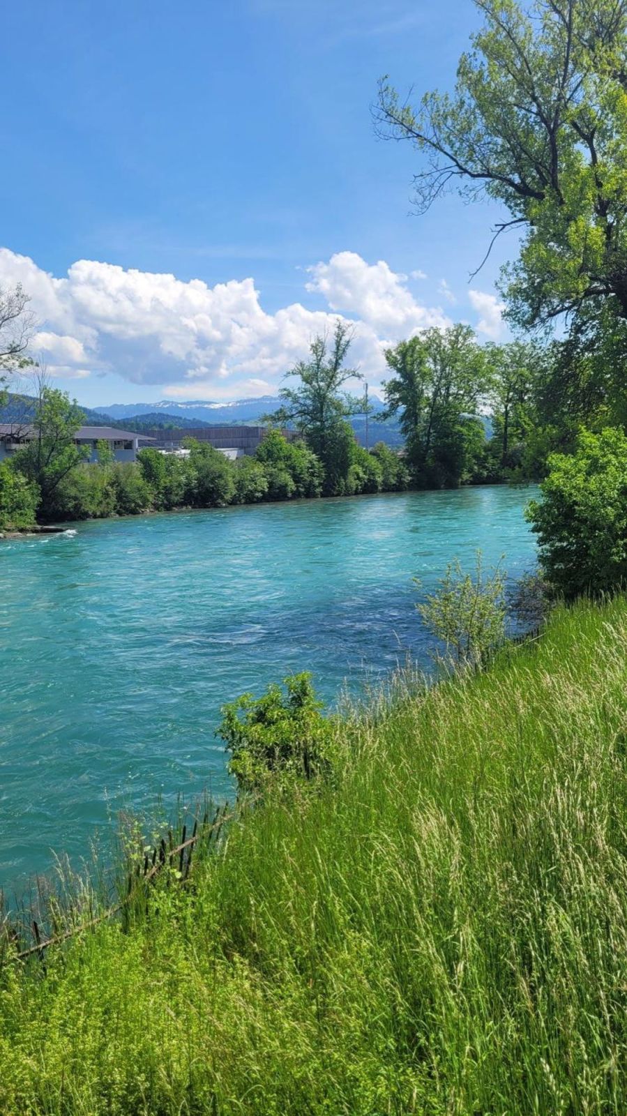 Wohnen an der schönen grünen Aare - Bild 10