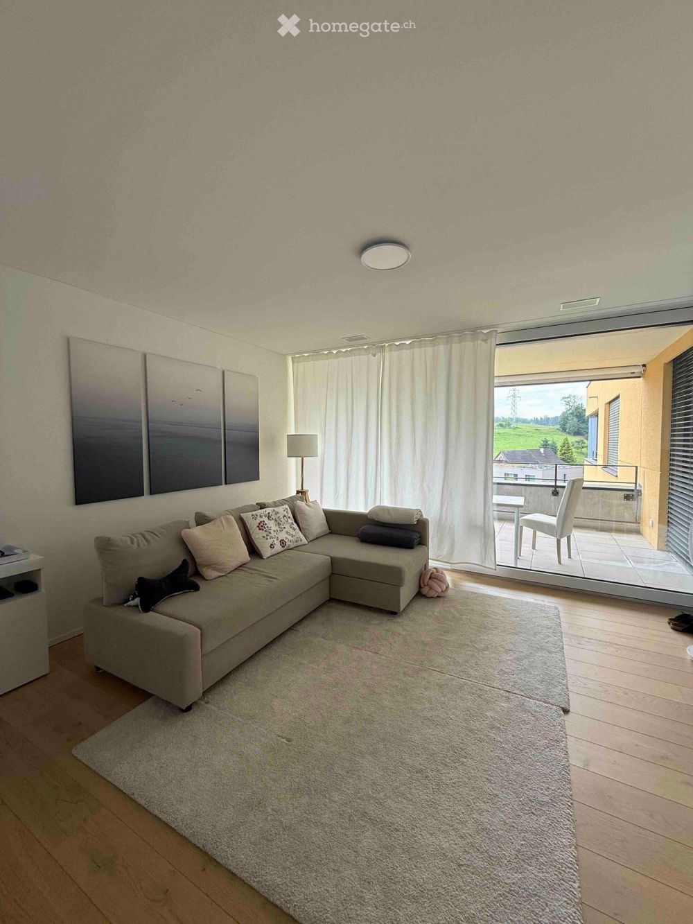Wunderschöne Moderne 4.5-Zimmer-Wohnung in Merenschwand zu vermieten - Bild 1