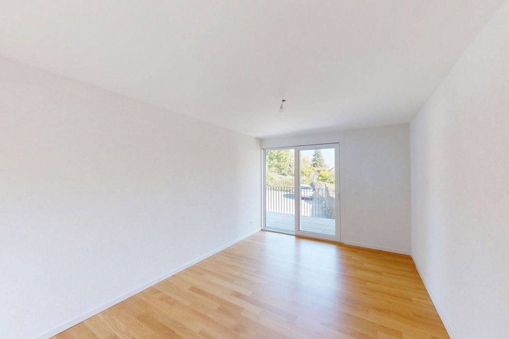 Willkommen! Prachtvolle Wohnung in Bussigny! - backbone_574559-D_007_WEB.jpg