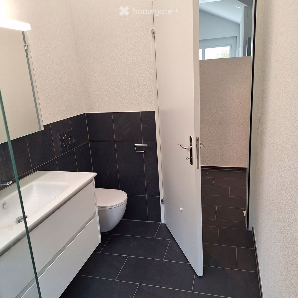 NEUBAU- Helle, grosszügige 4.5 Zimmer Dachwohnung - Bild 12