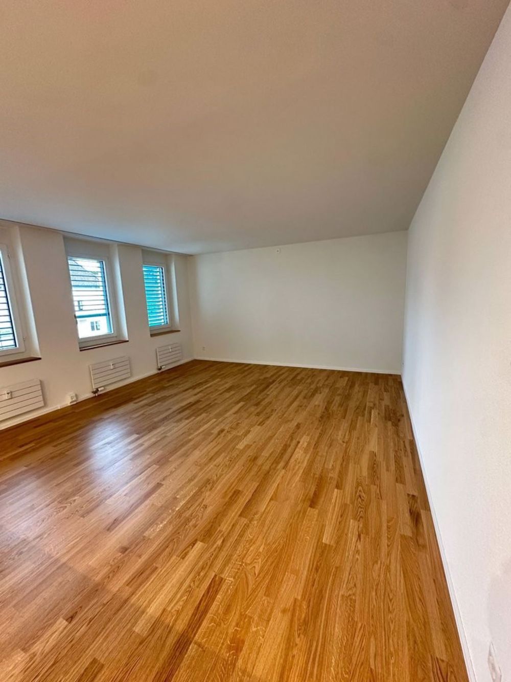 Erstbezug 2.5 Zimmerwohnung in Wetzikon - Wohnzimmer