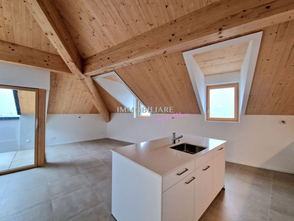 Großes Penthouse, ÖV nah, Ferienwohnung | dreamo.ch - Bild 1