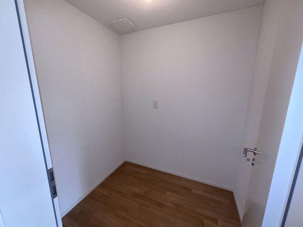 Traumwohnung mit riesiger Dachterrasse mit Abendsonne - Reduit