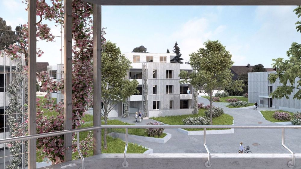 3 ½ Zimmer-Wohnung in Winterthur mieten - Bild 3