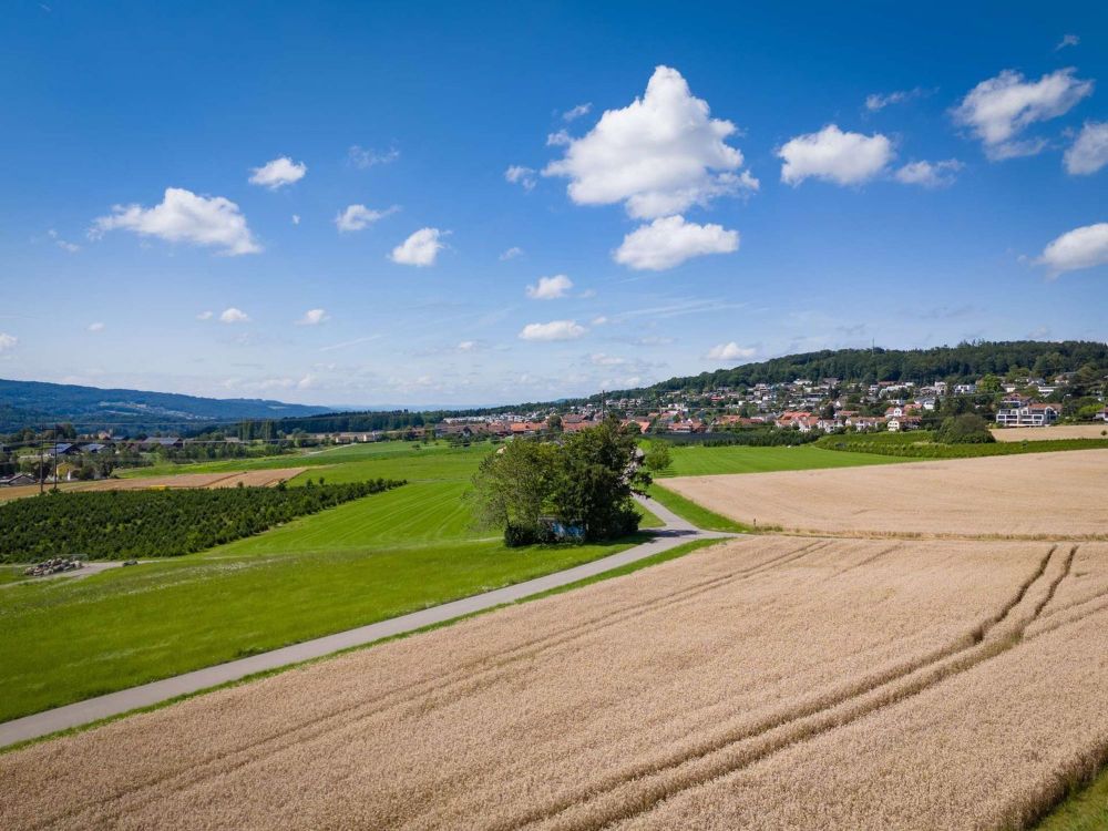 Moderne 3.5 Zimmer Neubauwohnung mit Weitblick - Aussicht