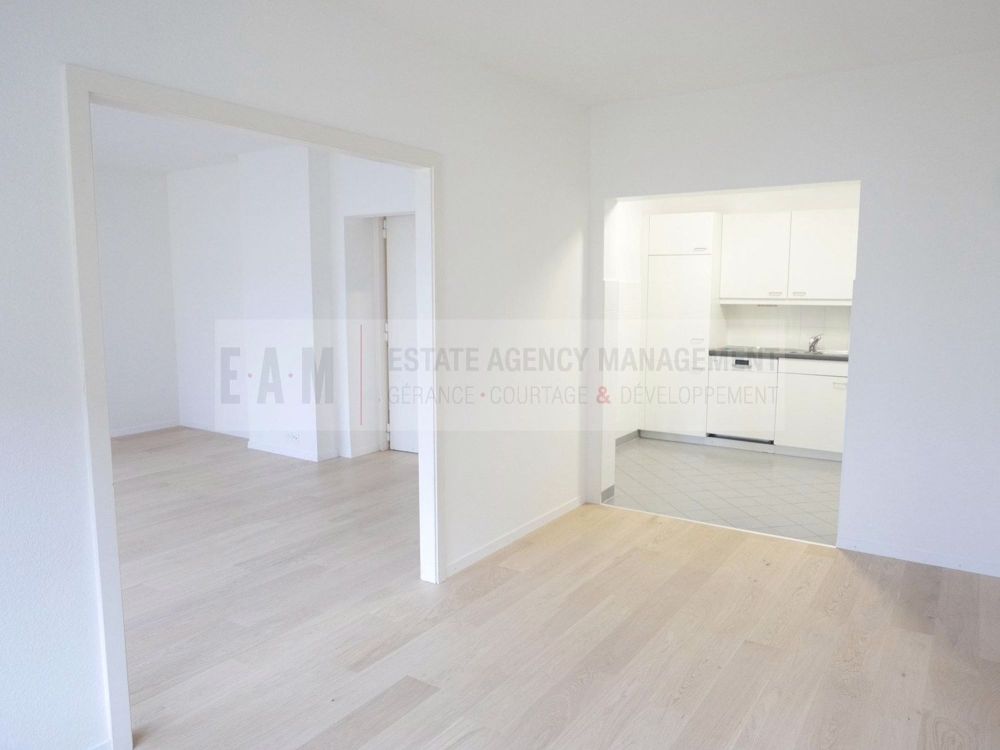 2 Bedroom Apartment near Lake Geneva(4.5pieces) - Bild 3