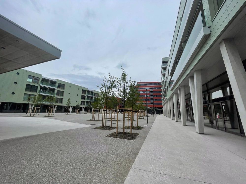 Joli appartement neuf 1,5 p avec balcon | dreamo.ch - Bild 5