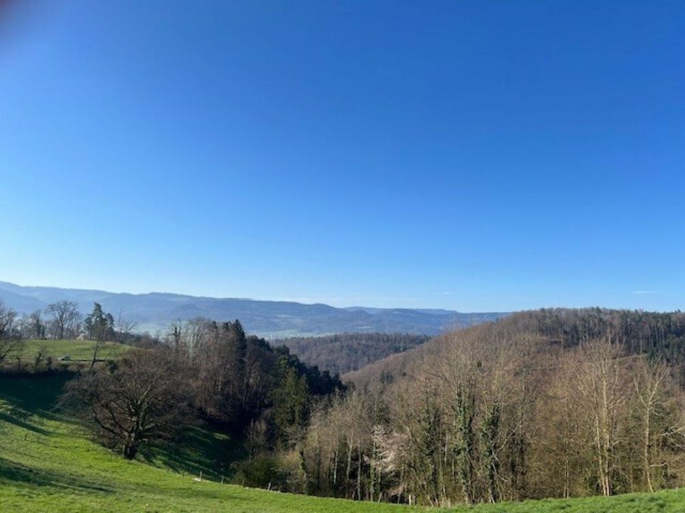 Erstvermietung- 2.5-Zi-Whg. mit Gartensitzplatz und top Weitsicht - Bild 1