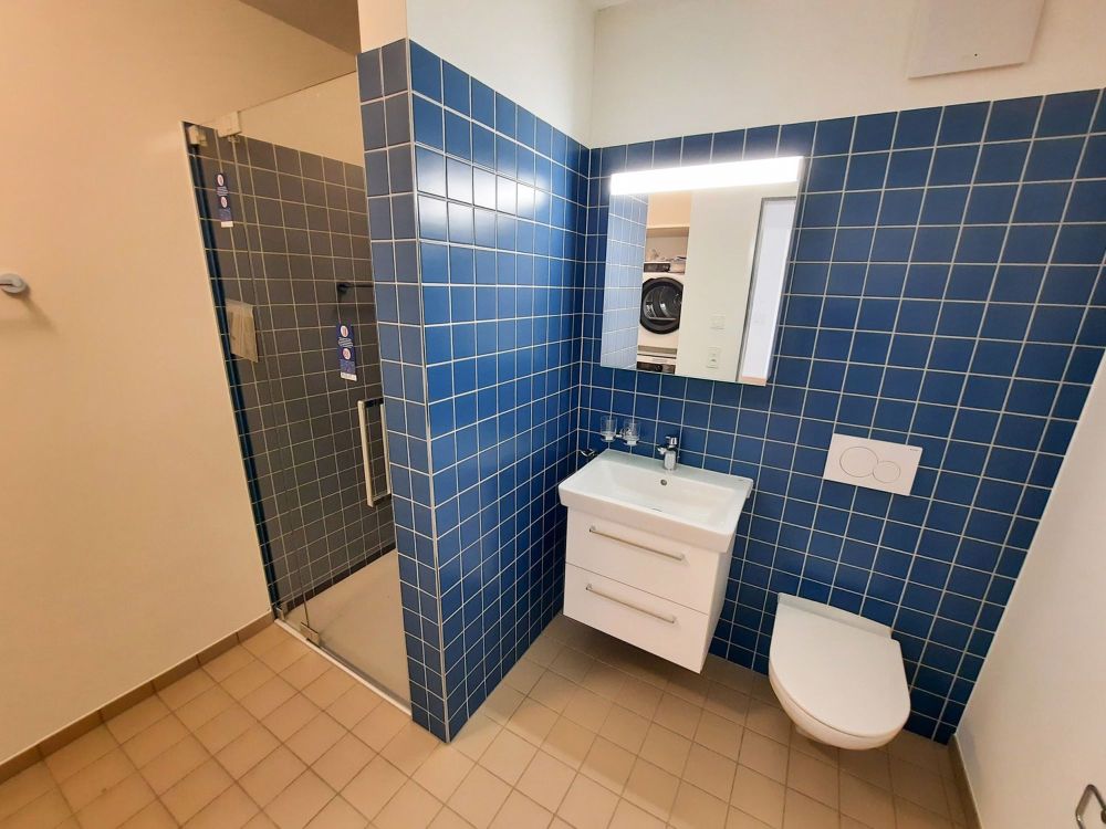 Individuelle Mietwohnungen mit Laubengang und sonnigem Balkon (EG, OG) und Dachwohnungen mit Loggia - Bild 6