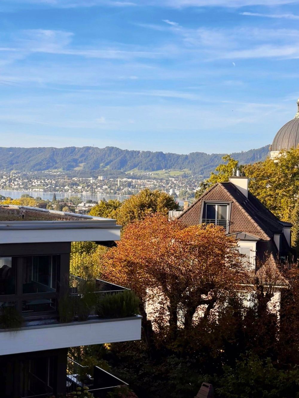 Erstvermietung - Stylische 3-Zimmerwohnung am Züriberg - Balkon mit Seesicht