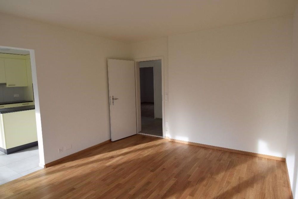 Aus Alt mach Neu - schöne 4.5 Zimmer Wohnungen im Breitsch - Bild 9