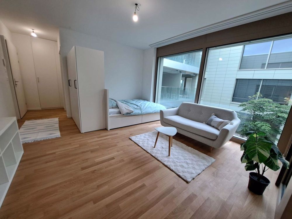 Joli appartement neuf 1,5 p avec balcon | dreamo.ch - Bild 3