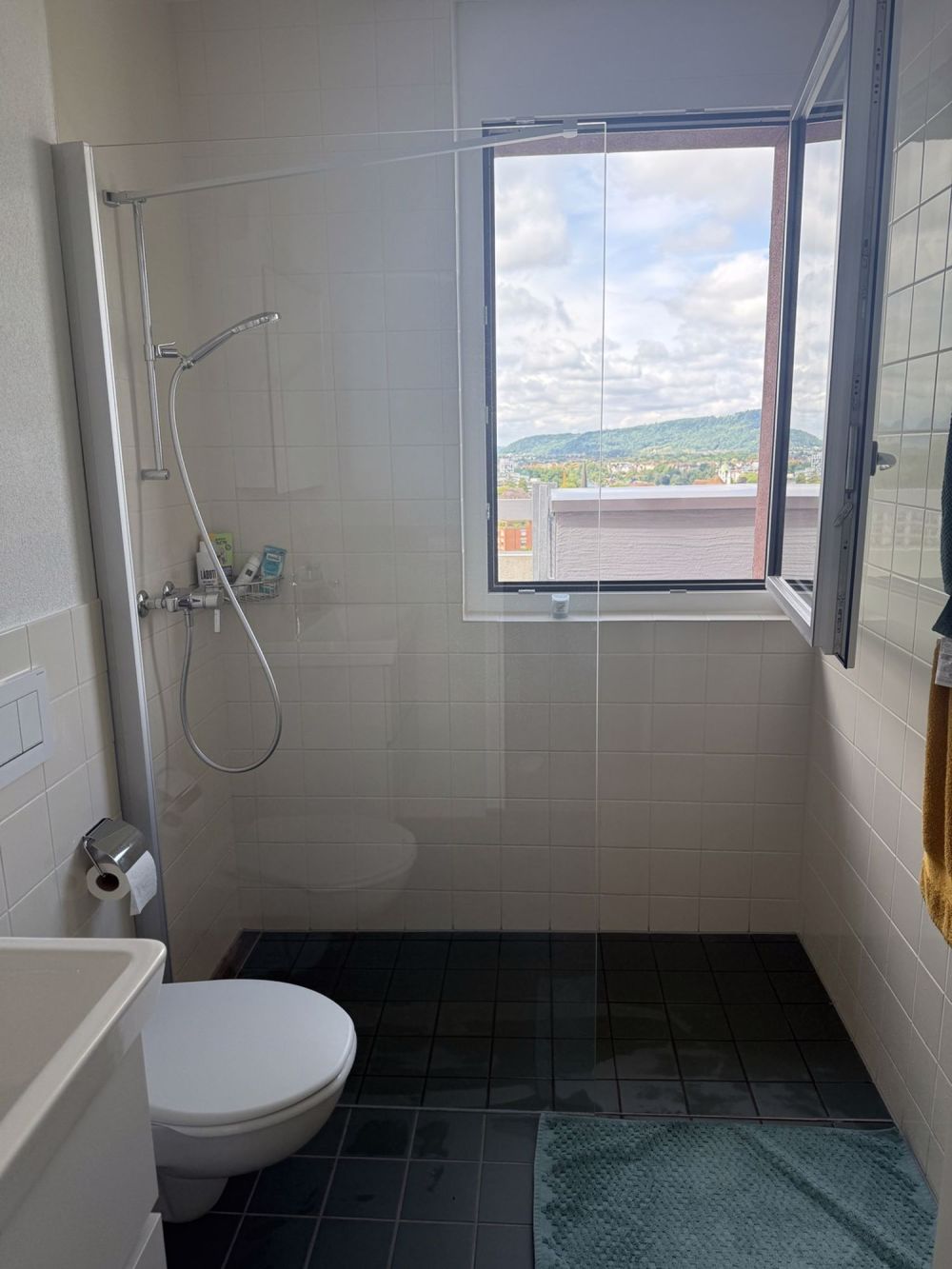 2 ½ Zimmer-Wohnung in Rheinfelden mieten - Bild 11