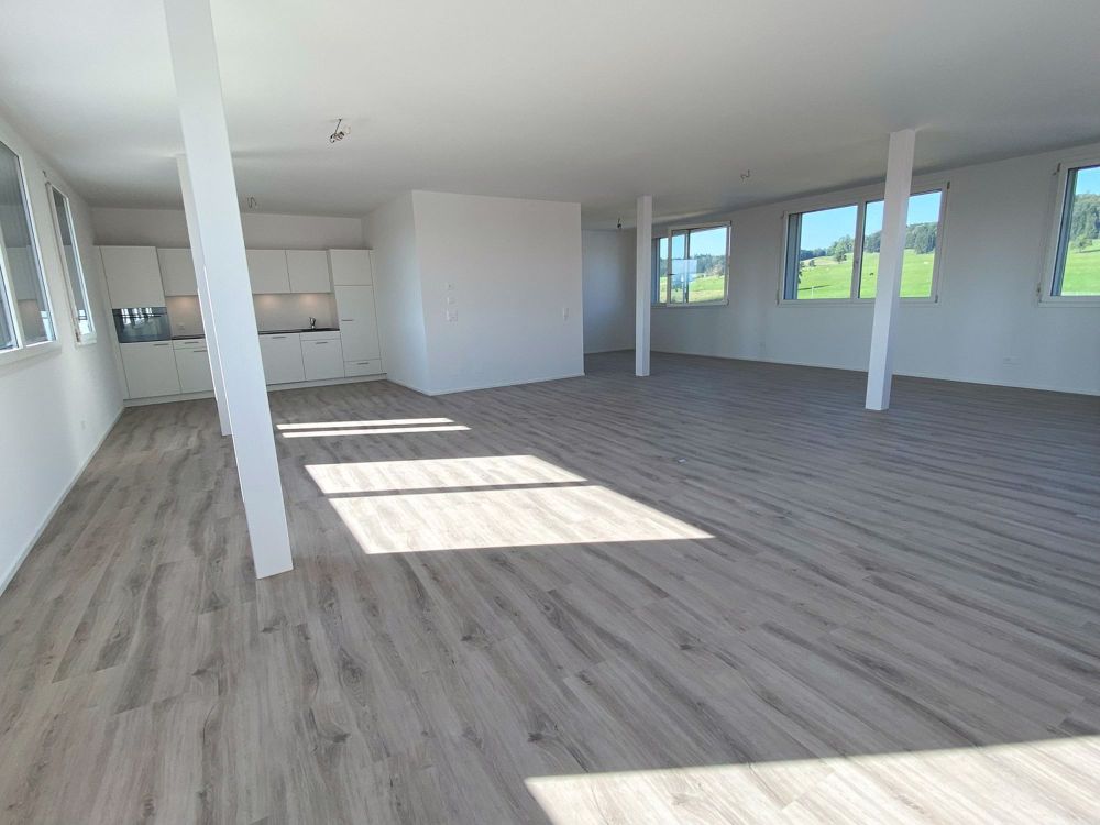 modernes lichtdurchflutetes Loft - Bild 3